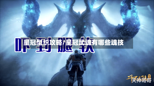星冠型织攻略/星冠武魂有哪些魂技-第3张图片