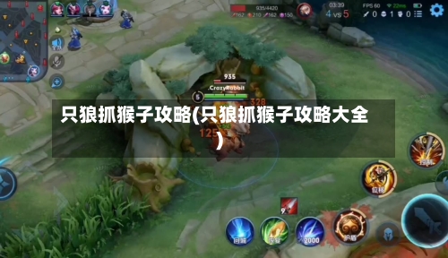 只狼抓猴子攻略(只狼抓猴子攻略大全)-第1张图片