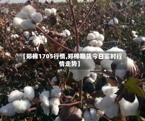 【郑棉1705行情,郑棉期货今日实时行情走势】-第1张图片