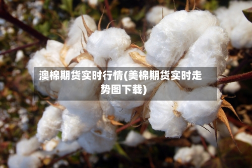 澳棉期货实时行情(美棉期货实时走势图下载)-第2张图片