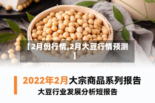 【2月份行情,2月大豆行情预测】-第1张图片