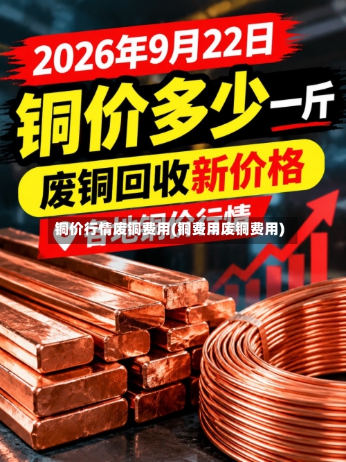 铜价行情废铜费用(铜费用废铜费用)-第1张图片