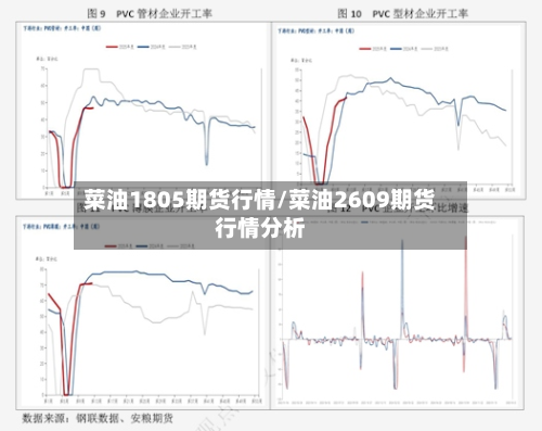菜油1805期货行情/菜油2609期货行情分析-第1张图片