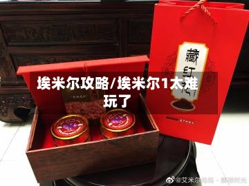 埃米尔攻略/埃米尔1太难玩了-第1张图片