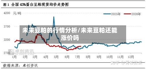 未来豆粕的行情分析/未来豆粕还能涨价吗-第1张图片