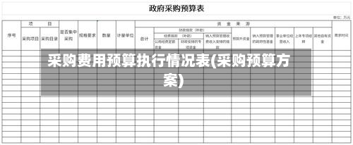 采购费用预算执行情况表(采购预算方案)-第1张图片