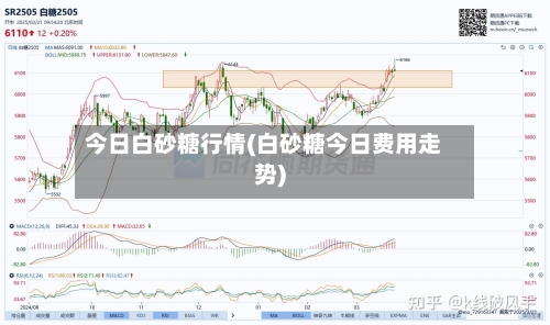 今日白砂糖行情(白砂糖今日费用走势)-第1张图片