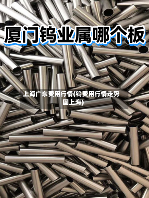 上海广东费用行情(钨费用行情走势图上海)-第3张图片