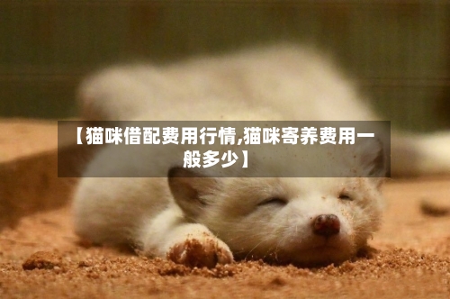 【猫咪借配费用行情,猫咪寄养费用一般多少】-第1张图片
