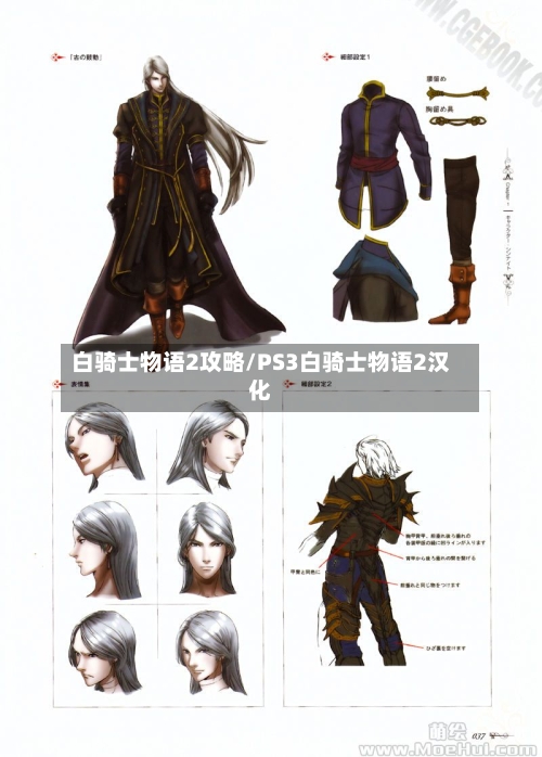白骑士物语2攻略/PS3白骑士物语2汉化-第1张图片
