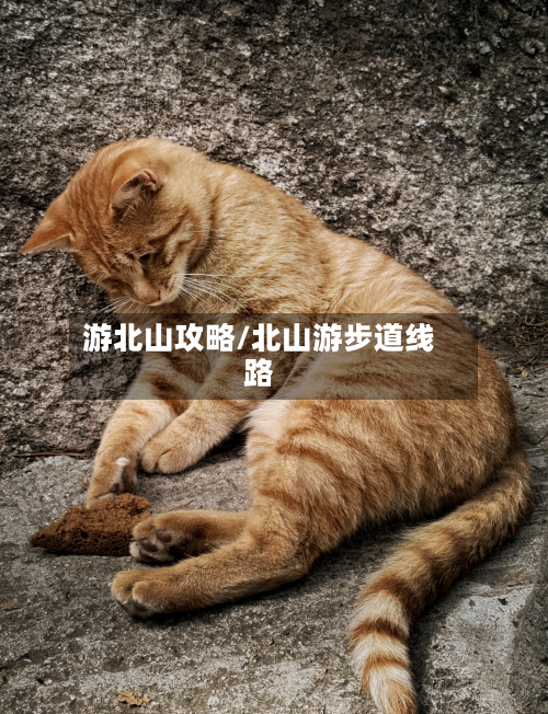 游北山攻略/北山游步道线路-第1张图片