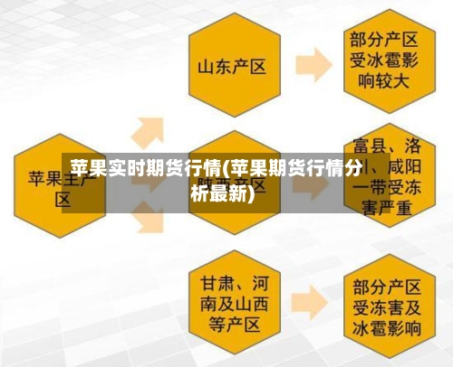 苹果实时期货行情(苹果期货行情分析最新)-第1张图片