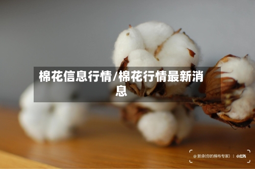 棉花信息行情/棉花行情最新消息
