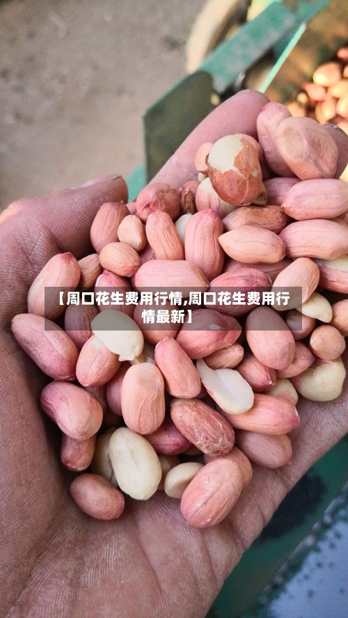【周口花生费用行情,周口花生费用行情最新】-第2张图片