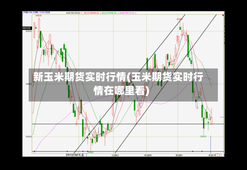 新玉米期货实时行情(玉米期货实时行情在哪里看)-第1张图片