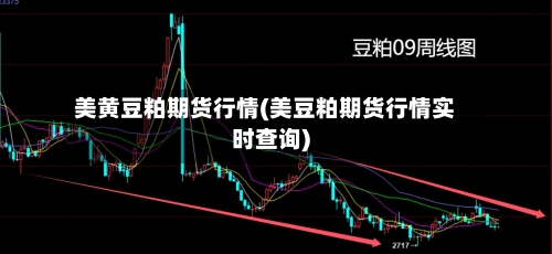 美黄豆粕期货行情(美豆粕期货行情实时查询)-第1张图片