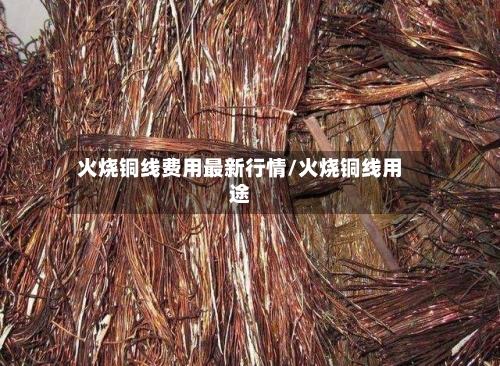 火烧铜线费用最新行情/火烧铜线用途-第1张图片