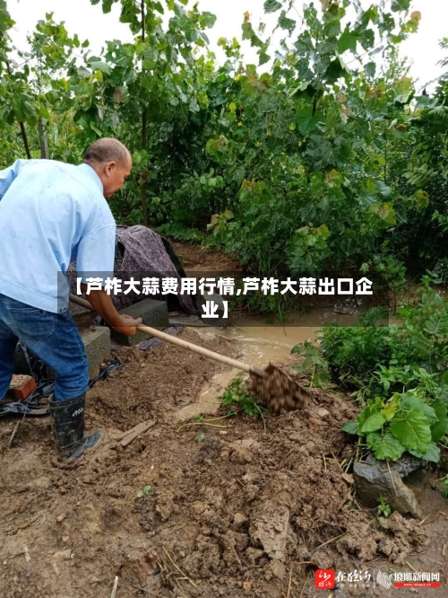【芦柞大蒜费用行情,芦柞大蒜出口企业】-第1张图片