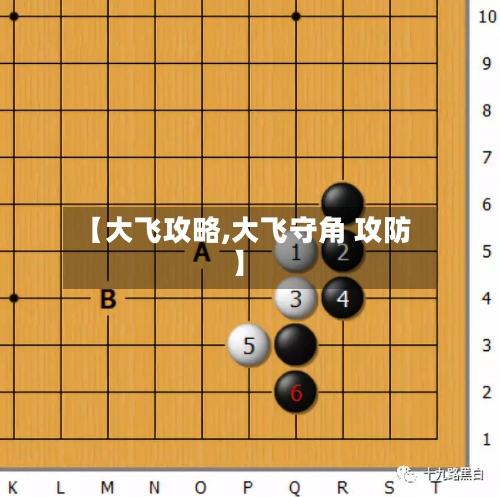 【大飞攻略,大飞守角 攻防】-第3张图片