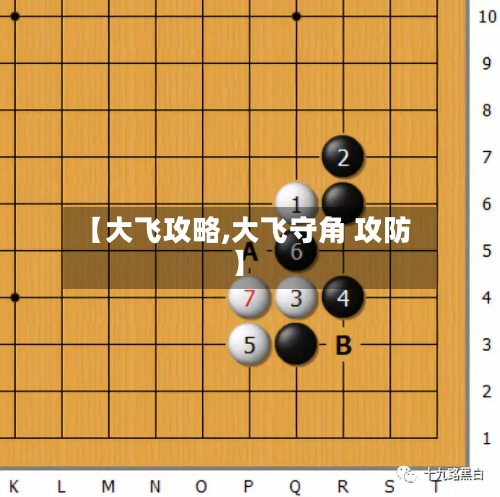 【大飞攻略,大飞守角 攻防】-第1张图片