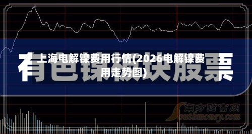 上海电解镍费用行情(2026电解镍费用走势图)-第1张图片