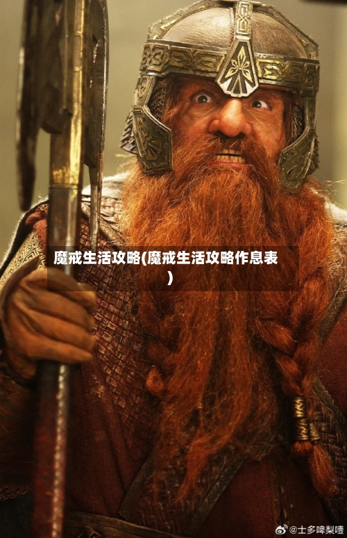 魔戒生活攻略(魔戒生活攻略作息表)-第1张图片