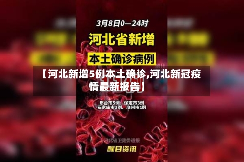 【河北新增5例本土确诊,河北新冠疫情最新报告】-第1张图片