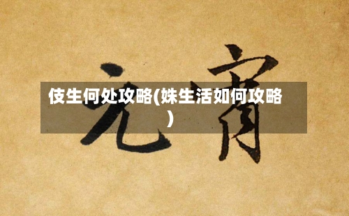 伎生何处攻略(姝生活如何攻略)-第1张图片