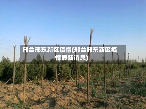 邢台邢东新区疫情(邢台邢东新区疫情最新消息)-第1张图片