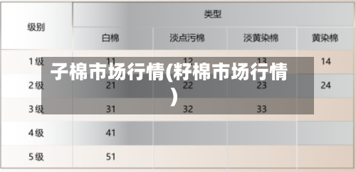 子棉市场行情(籽棉市场行情)-第1张图片