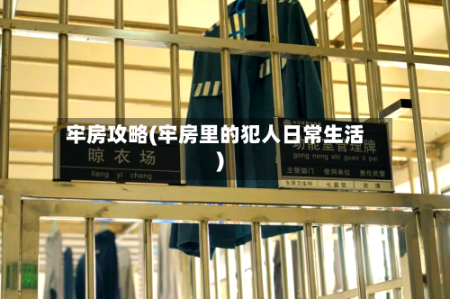 牢房攻略(牢房里的犯人日常生活)-第1张图片