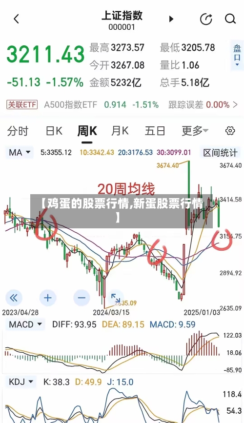 【鸡蛋的股票行情,新蛋股票行情】-第3张图片
