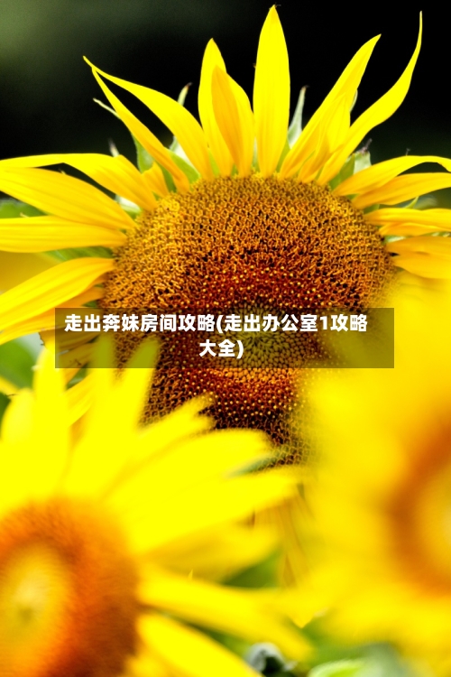 走出奔妹房间攻略(走出办公室1攻略大全)-第1张图片