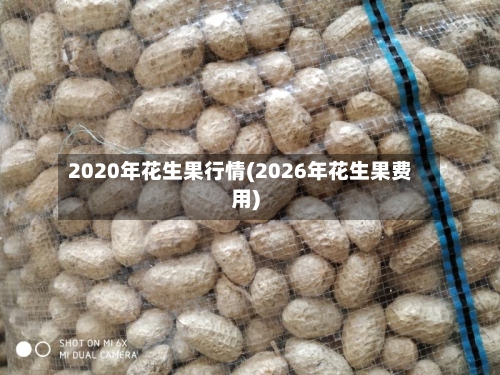 2020年花生果行情(2026年花生果费用)-第1张图片