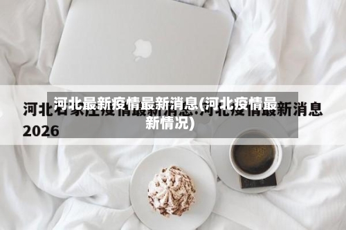 河北最新疫情最新消息(河北疫情最新情况)-第3张图片