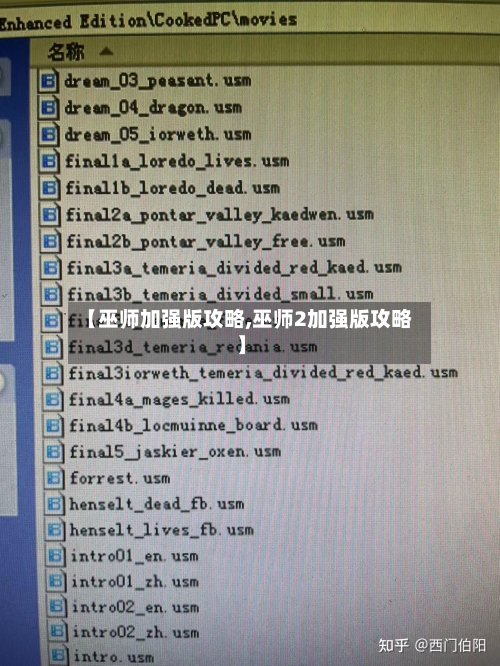 【巫师加强版攻略,巫师2加强版攻略】-第2张图片