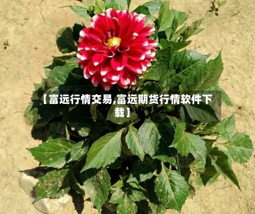 【富远行情交易,富远期货行情软件下载】-第2张图片