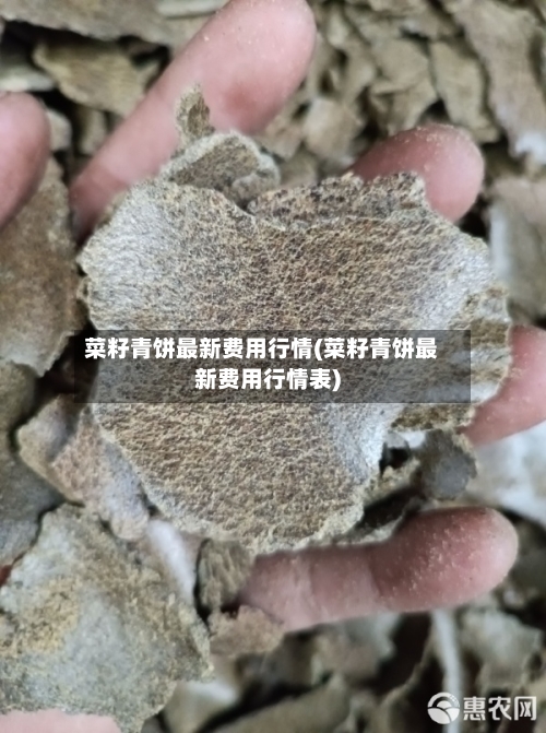 菜籽青饼最新费用行情(菜籽青饼最新费用行情表)-第1张图片