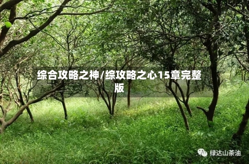 综合攻略之神/综攻略之心15章完整版-第2张图片