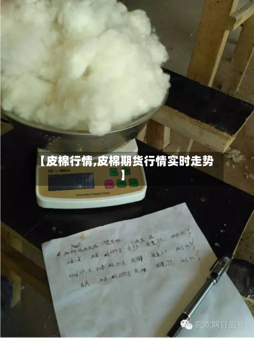 【皮棉行情,皮棉期货行情实时走势】-第1张图片