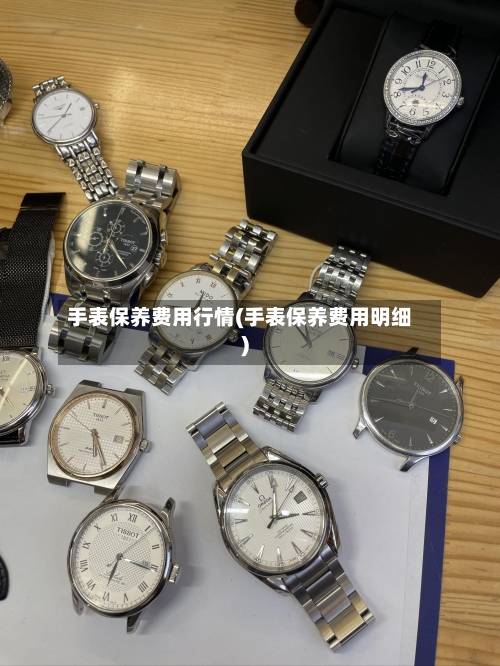 手表保养费用行情(手表保养费用明细)-第1张图片