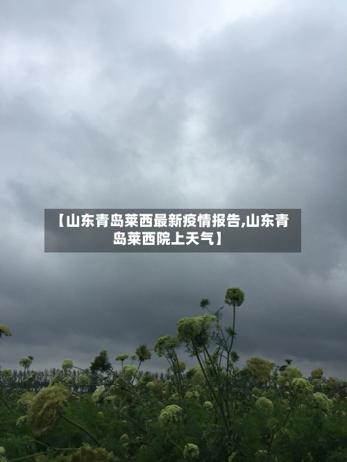 【山东青岛莱西最新疫情报告,山东青岛莱西院上天气】-第1张图片