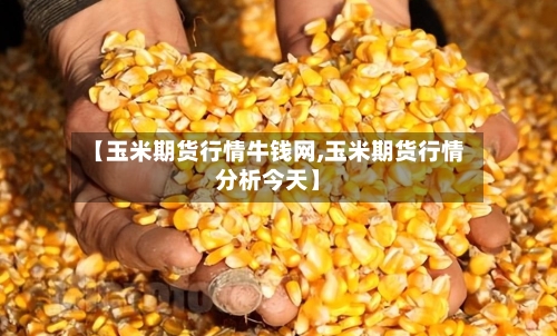 【玉米期货行情牛钱网,玉米期货行情分析今天】-第2张图片