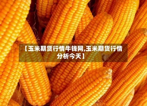 【玉米期货行情牛钱网,玉米期货行情分析今天】-第1张图片