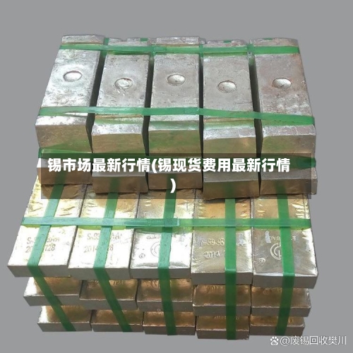 锡市场最新行情(锡现货费用最新行情)-第1张图片