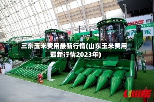三东玉米费用最新行情(山东玉米费用最新行情2023年)-第1张图片