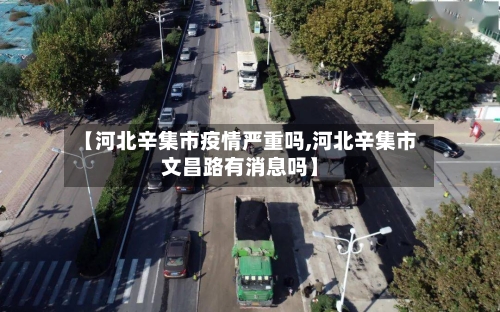 【河北辛集市疫情严重吗,河北辛集市文昌路有消息吗】-第3张图片