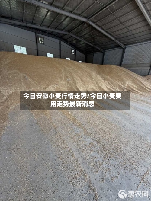 今日安徽小麦行情走势/今日小麦费用走势最新消息-第1张图片