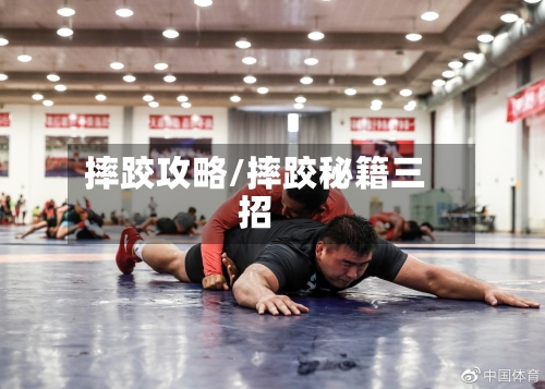 摔跤攻略/摔跤秘籍三招-第1张图片