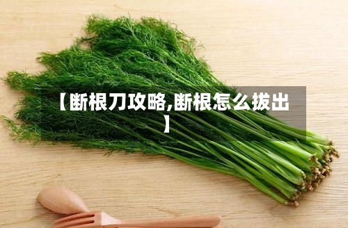 【断根刀攻略,断根怎么拔出】